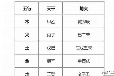 木火名字女|八字木火取名大全 (木命女孩起名字用什么字好)